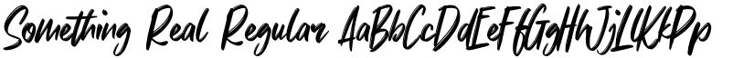 Something Real Regular font