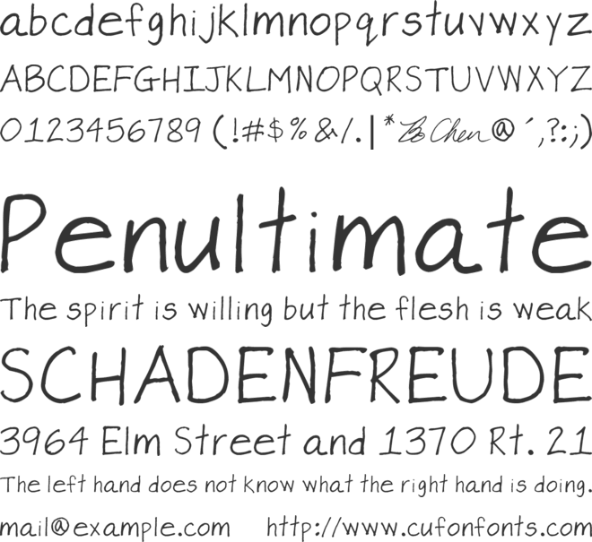 Bo Chen Font font preview