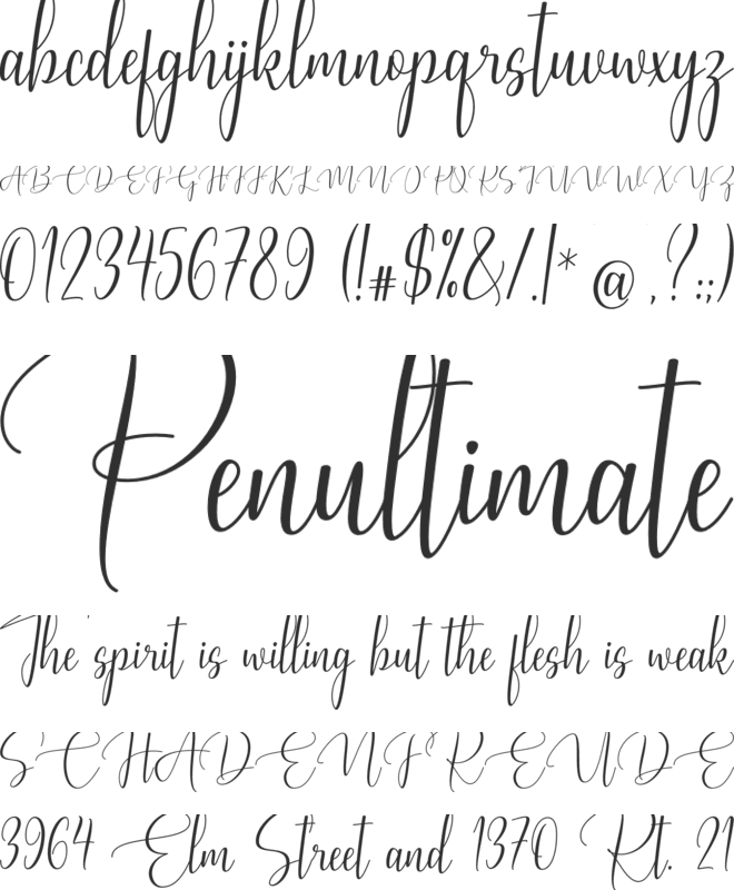 Rosallyn Signature font preview