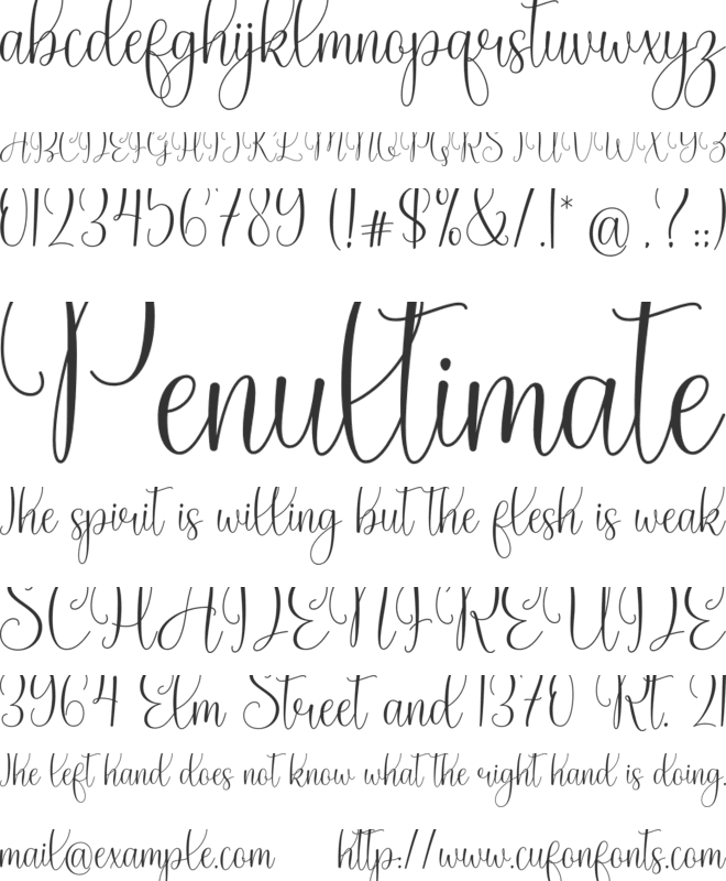 Magnolia font preview