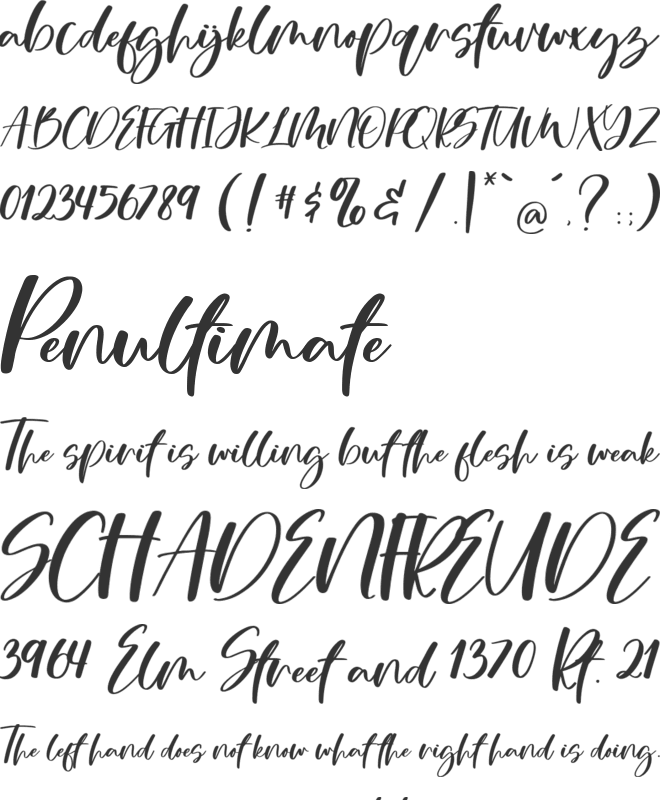 Oliver Moderna font preview