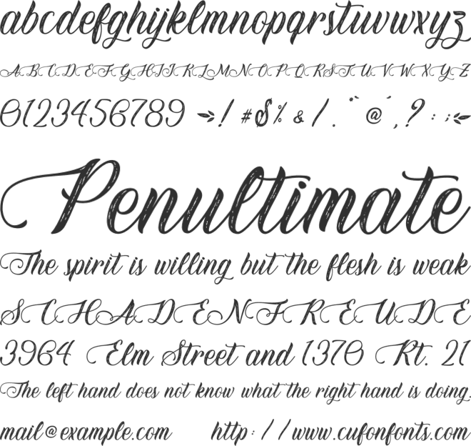 Honey Florist - Personal Use font preview