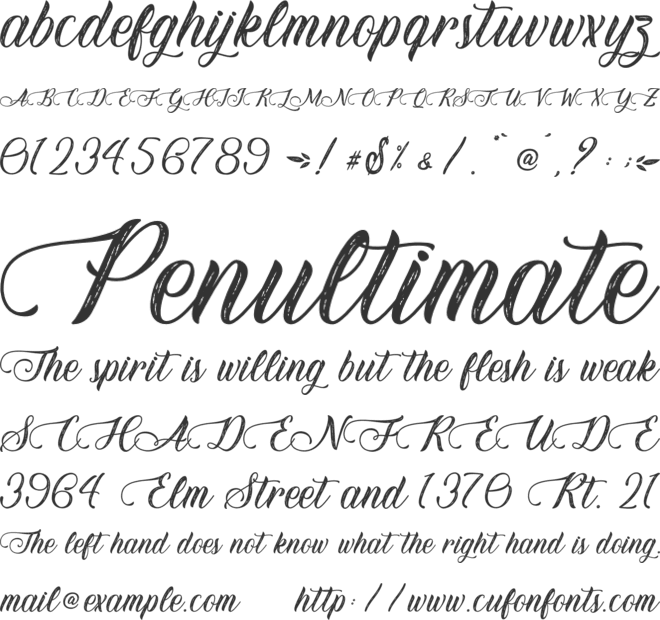 Honey Florist - Personal Use font preview