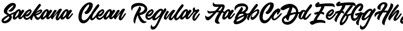 Saekana Clean Regular font
