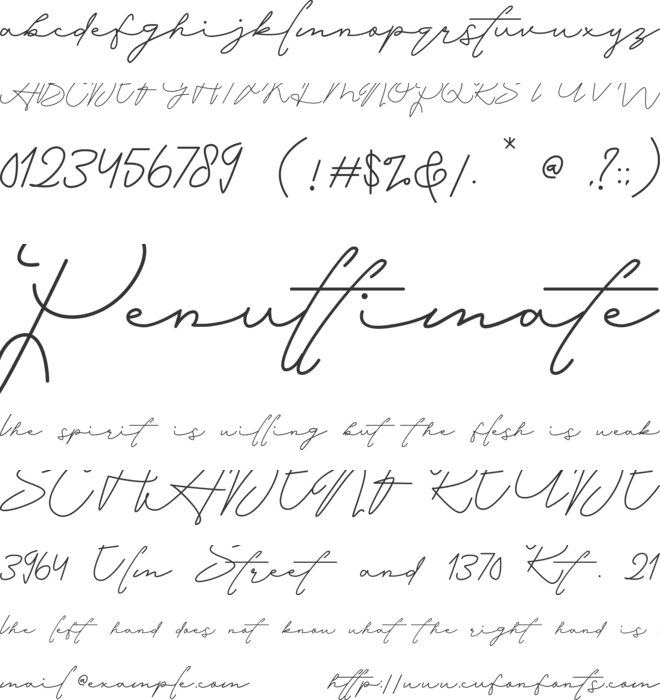 Alexandria Rose font preview
