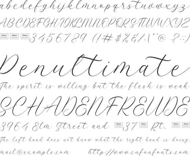Latterday font preview