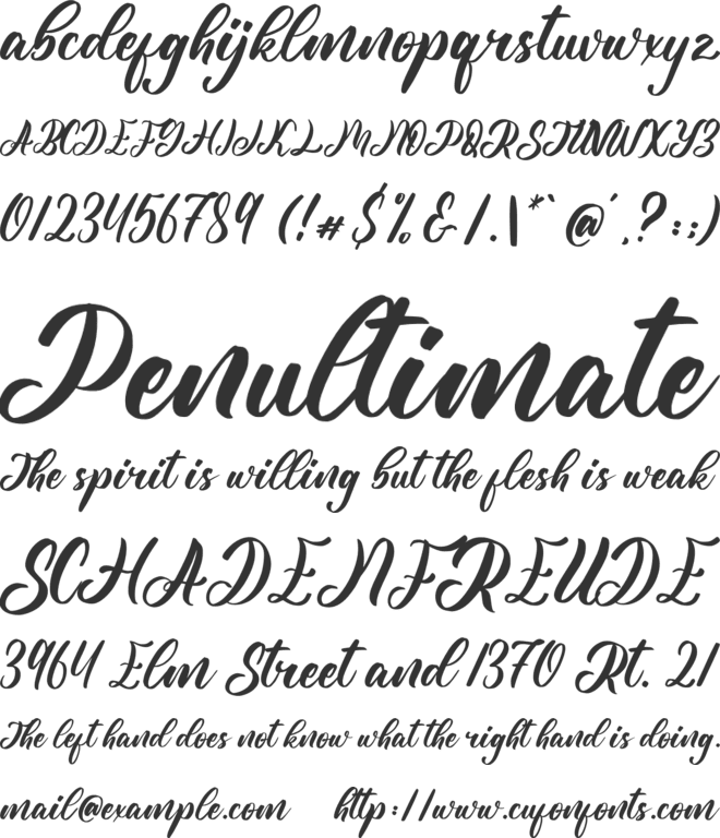 Yellow Sunflower font preview