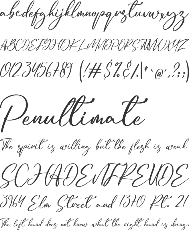 Trophyita font preview