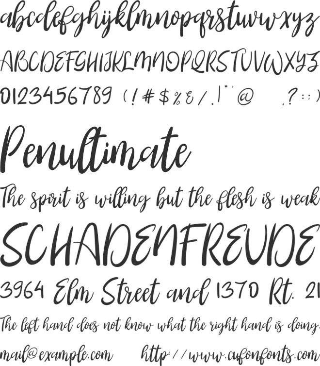 Booncyfly font preview