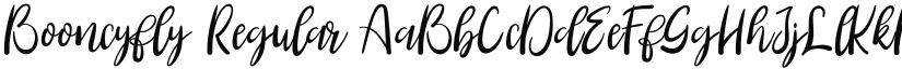 Booncyfly font download