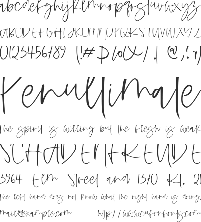 Hastina font preview