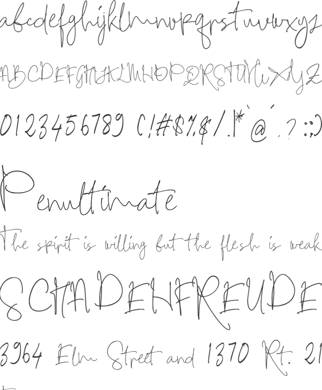 Hamidey font preview
