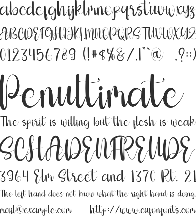 Perfecto font preview