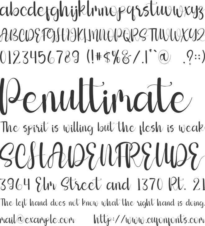 Perfecto font preview