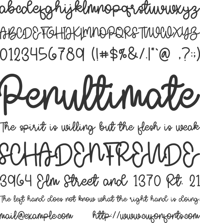 Cools Women font preview