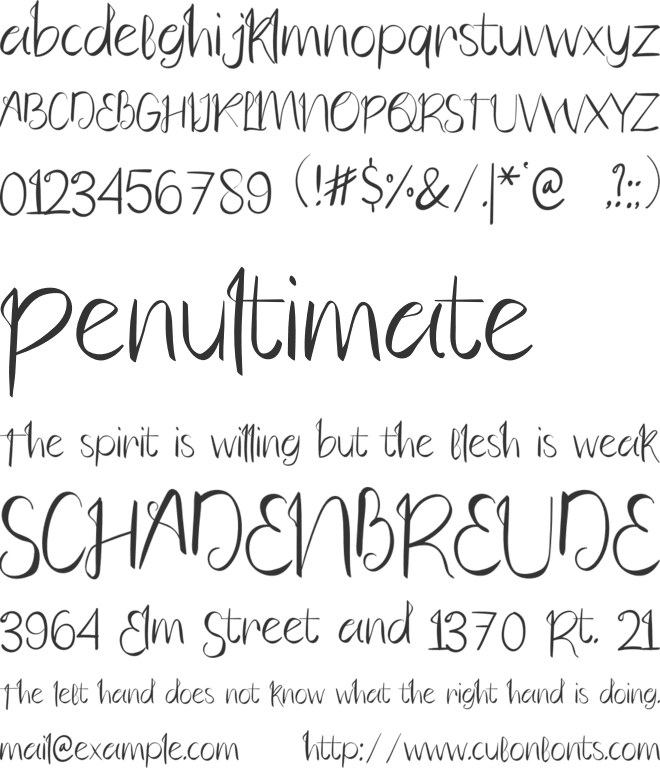 Brave Bridge font preview