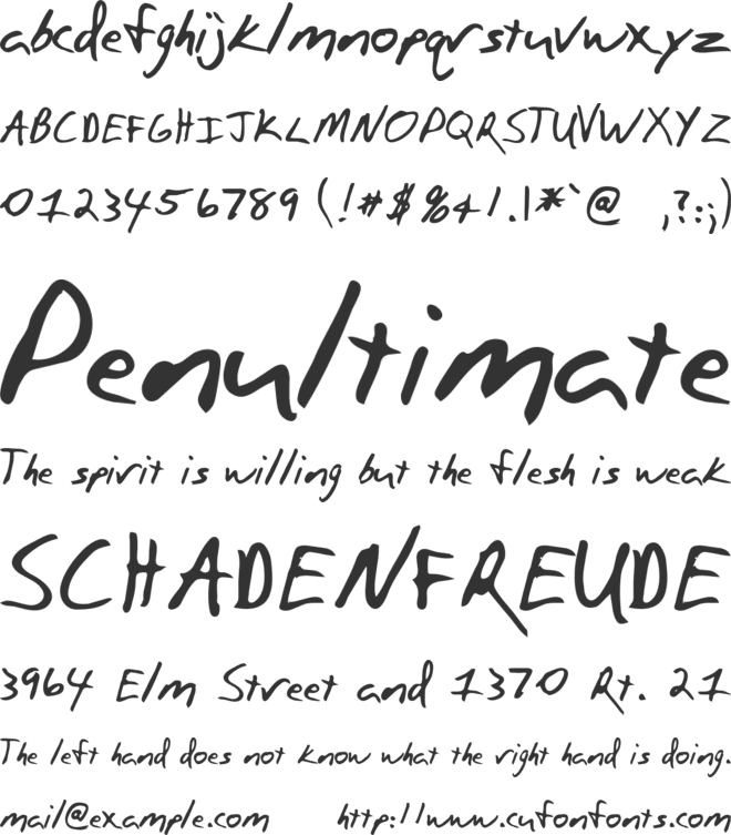 Paulson font preview