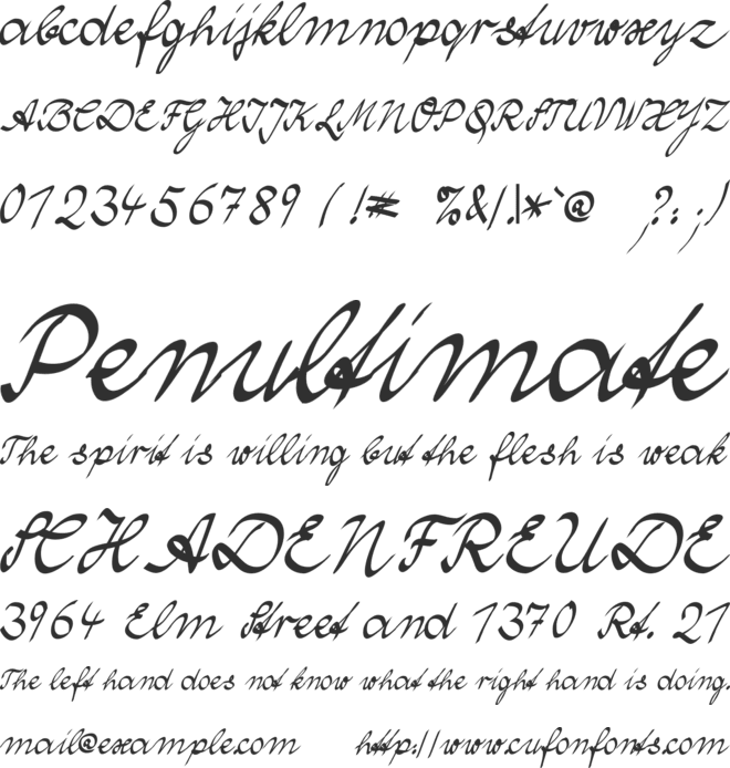 Wolgast Two font preview