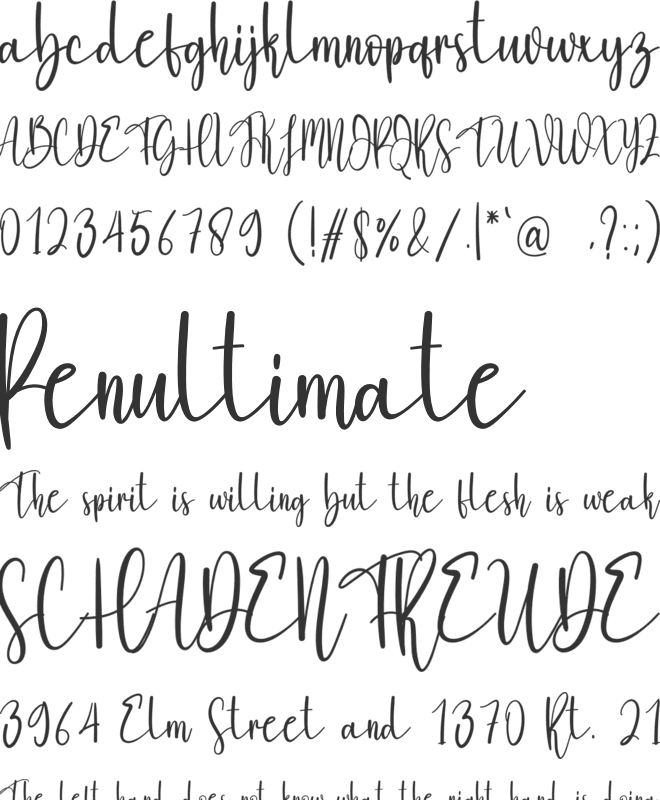 Ashley Felhan font preview