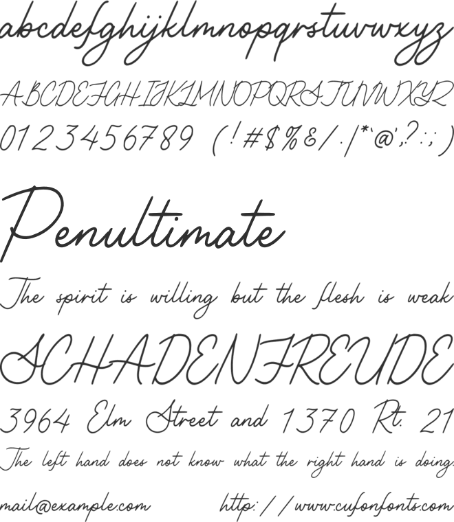 Nittiest Fitting font preview