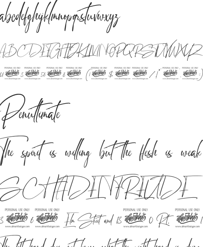 Signattimes font preview