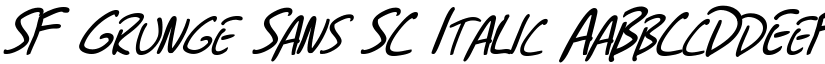 SF Grunge Sans SC Italic font