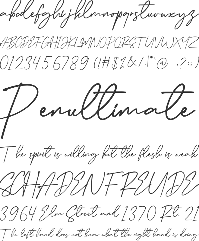 Bellarosta font preview