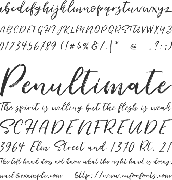 Seaport Script font preview
