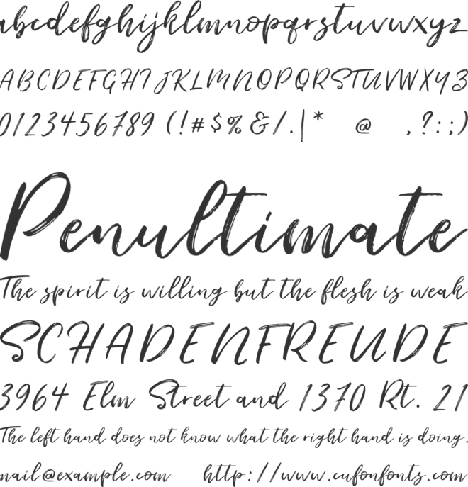 Seaport Script font preview