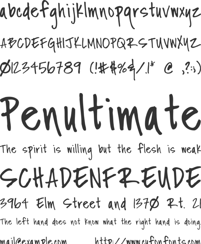 Fh Nicole font preview