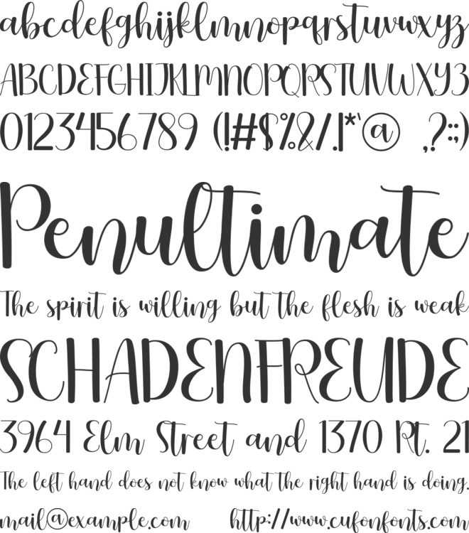 Fellove - Personal use font preview