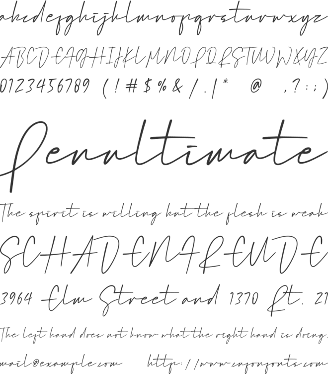 Ami Hollan font preview