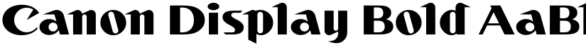 Canon Display Bold font