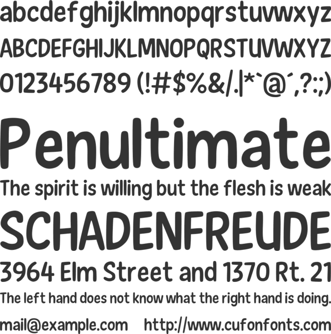 New Era Casual font preview