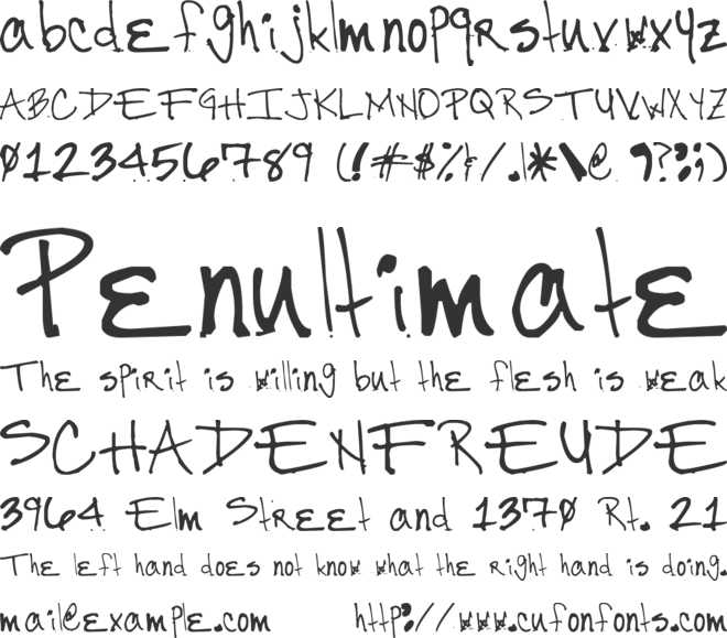 Mr. Ortiz font preview