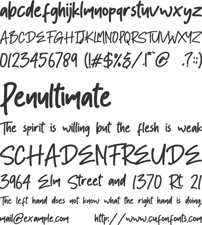 Ronald Flick font preview