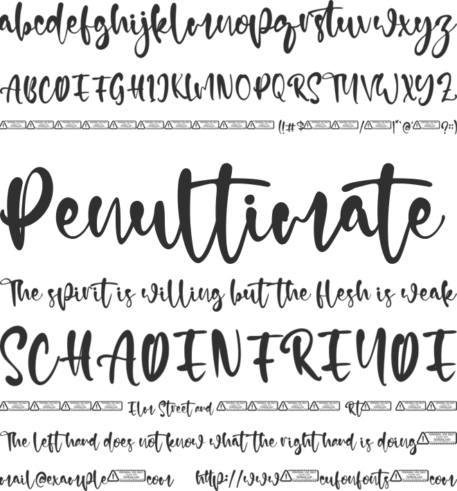 Courtney font preview