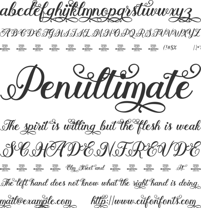 Stayola  PERSONAL USE font preview