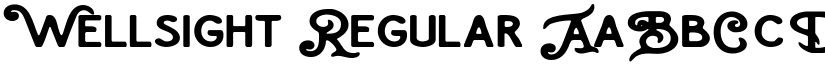 Wellsight font download
