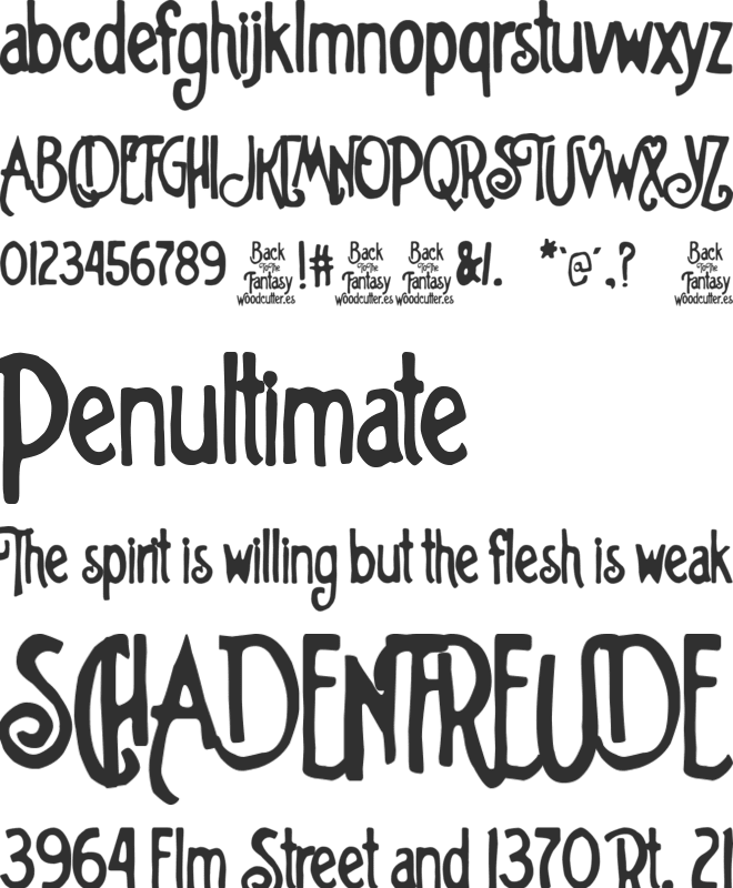 Back To The Fantasy font preview
