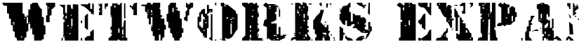 Wetworks Expanded Expanded font