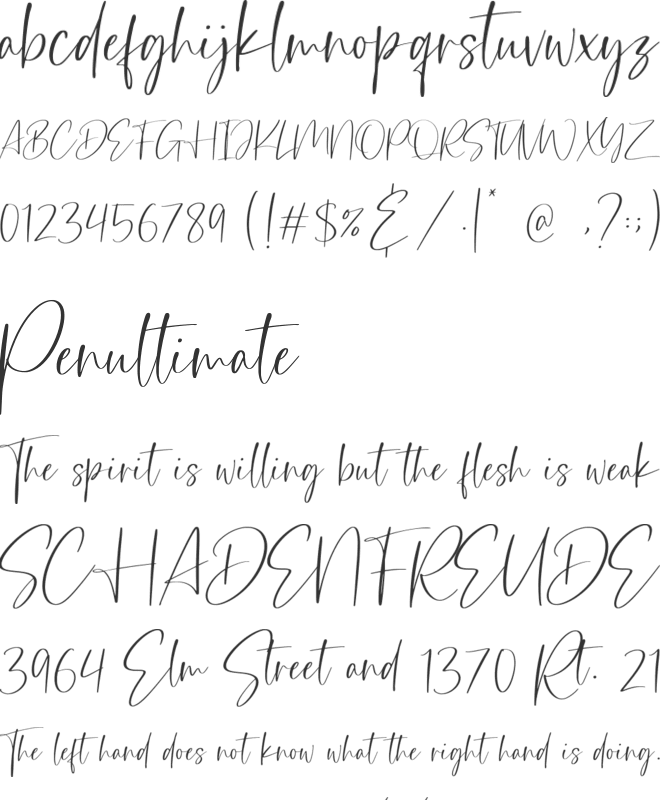 Belladonna font preview