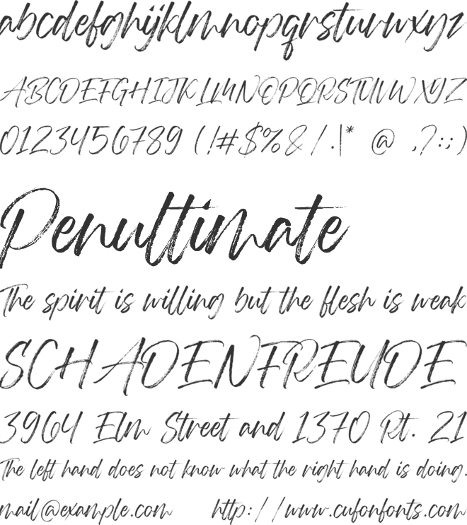 Rough Motion Script font preview