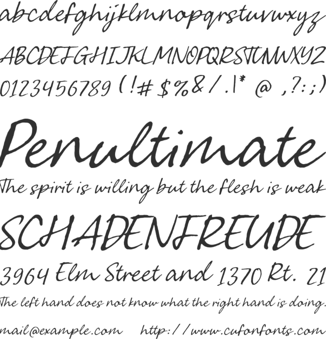 Greatest Fortune Script font preview