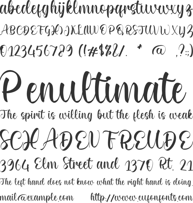 Destinee Edith font preview