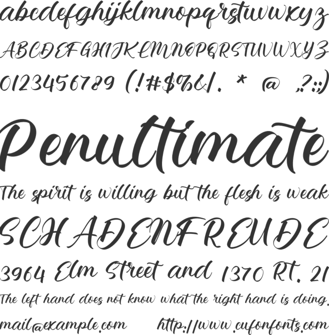 Anabelle Fernanda font preview
