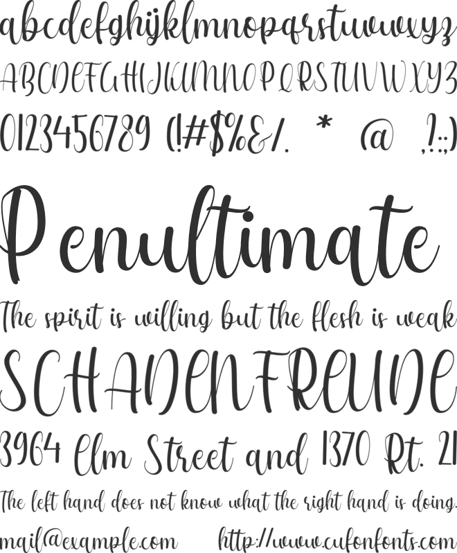 Moly Katie font preview