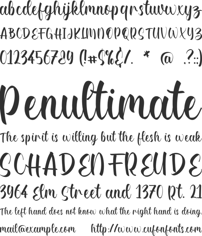 Daisy Caitlin font preview