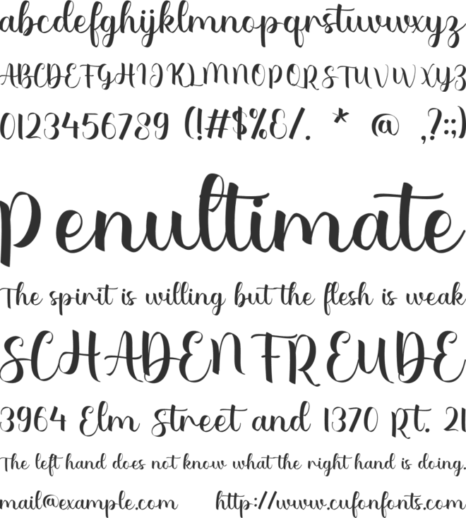 Bethany Ellie font preview