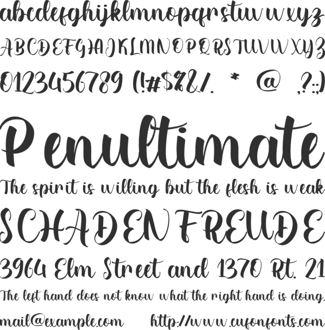 Alicia Catherine font preview